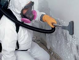 Best Environmental Consulting for Mold Prevention in Blackhawk, CA